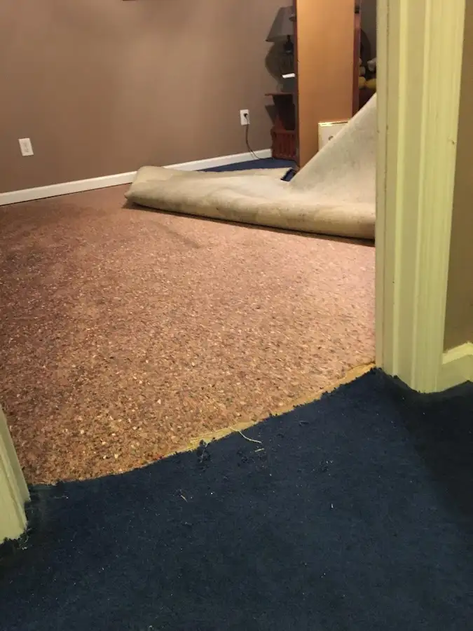 Carpet pad removal revealing water damage during Drying & Dehumidification in Mount Vernon